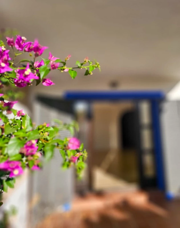 1-8feb9a13440344d11ba504bcb1dd499c