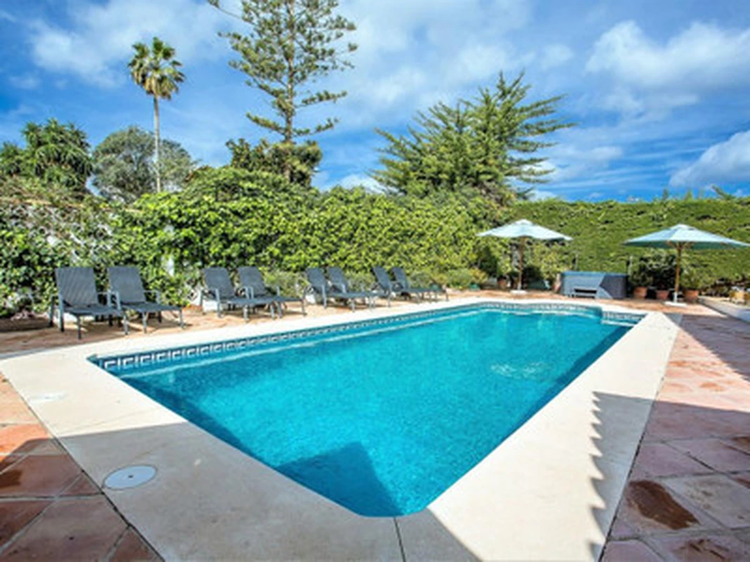 4-31eddec24faf40464bcee8b2fd51cd02