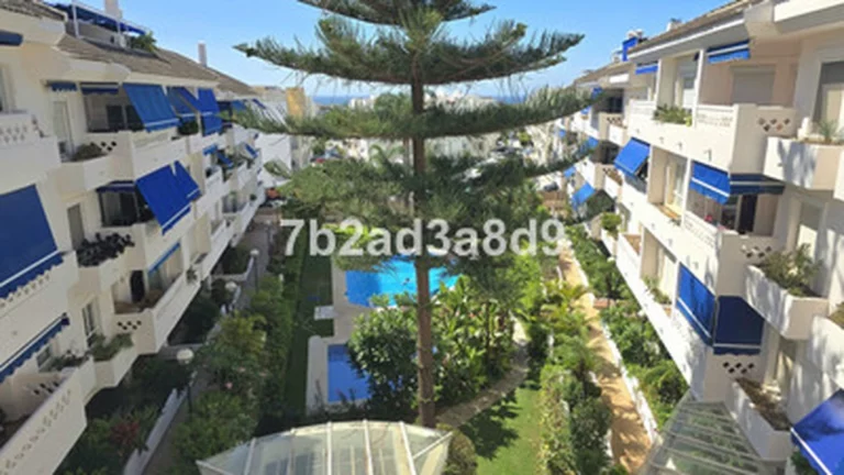 1-8feb9a13440344d11ba504bcb1dd499c